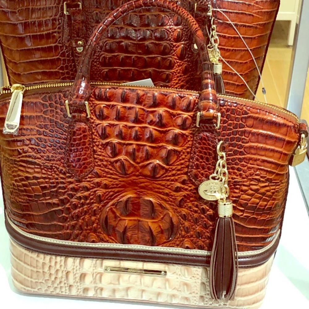 Brahmin 👜(used only once)